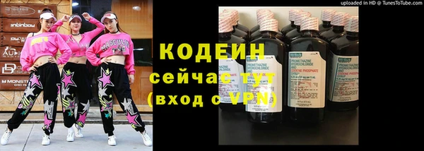стаф Медногорск