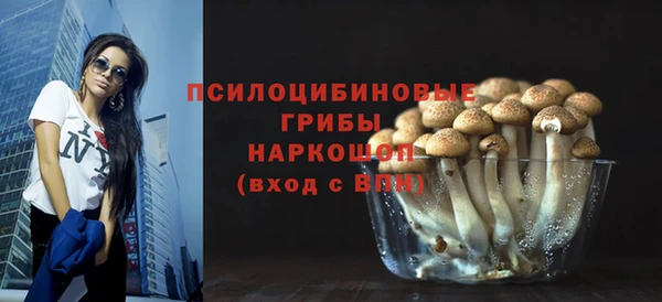 стаф Медногорск