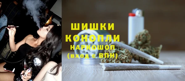 стаф Медногорск