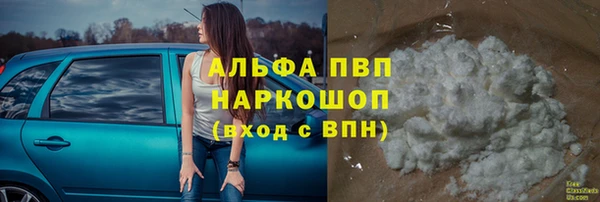 стаф Медногорск