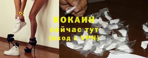 стаф Медногорск
