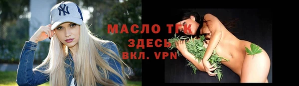 стаф Медногорск