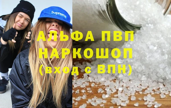 стаф Медногорск