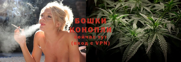 стаф Медногорск